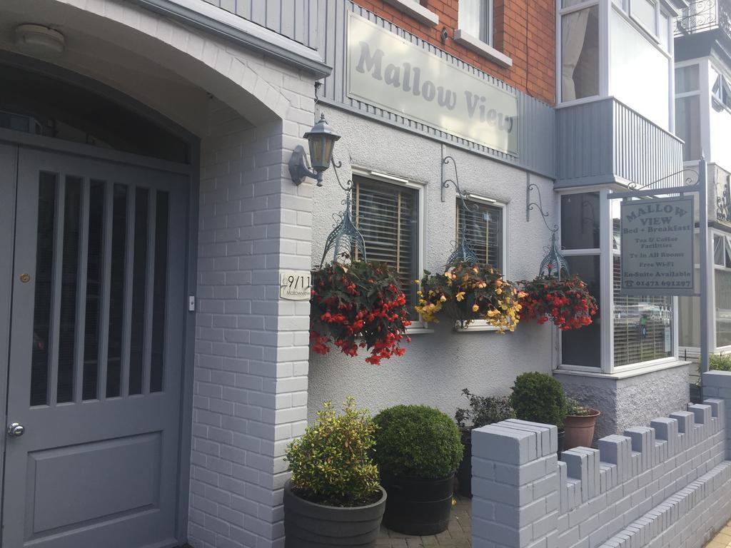 كْليثوربس Mallowview Bed And Breakfast المظهر الخارجي الصورة